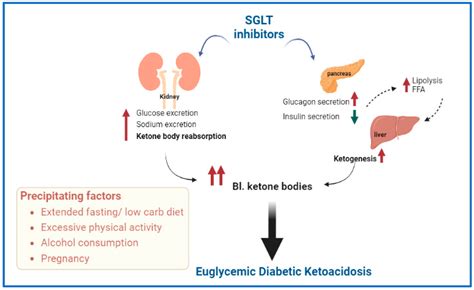 Diabetic Ketoacidosis Management in Special Population | Encyclopedia MDPI