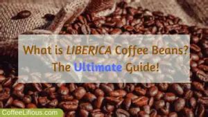 Here's What Liberica Coffee Beans Are [The 2021 Guide]