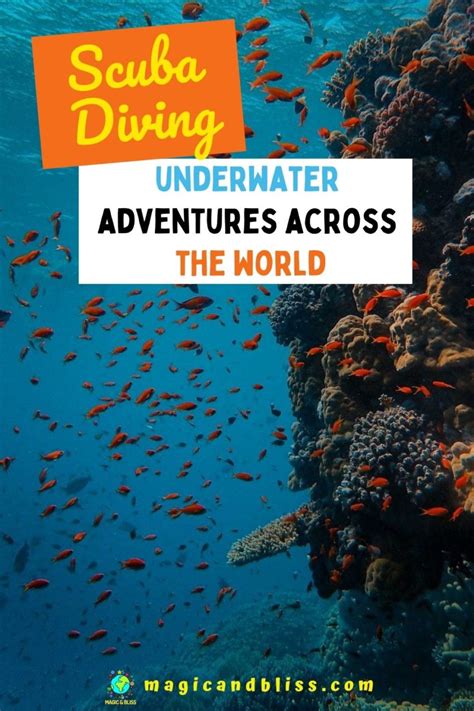 Scuba Diving Experience - My Underwater Adventures Across The World