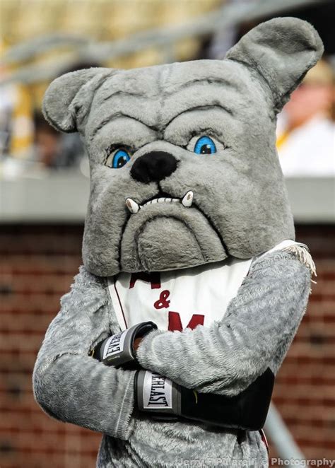 Alabama A & M Bulldogs mascot | College Mascots: SWAC | Pinterest ...