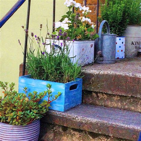 Love your pots! 25 inspiring & practical ideas for container gardens - The Middle-Sized Garden ...