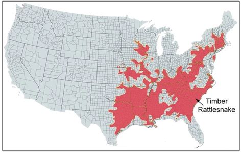 timber rattlesnake range map - Bird Watching HQ