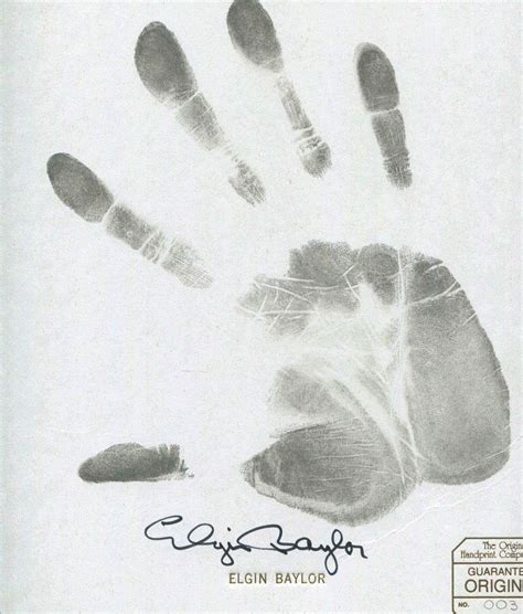 Elgin Baylor | PSA AutographFacts℠