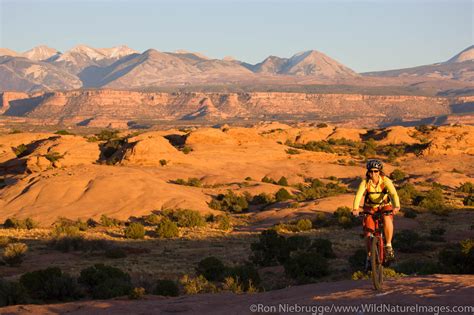 Slickrock Trail | Photos by Ron Niebrugge