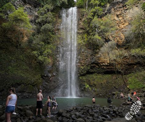 March 2019 – Kauai – Uluwehi Falls (Secret Falls) | Hikes from Home