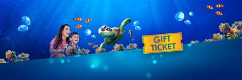 Gift Tickets | New Jersey SEA LIFE Aquarium