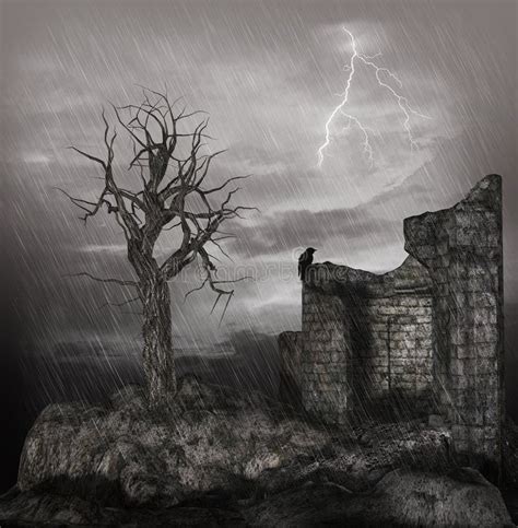 Stormy night stock image. Image of night, rain, dead - 22134301