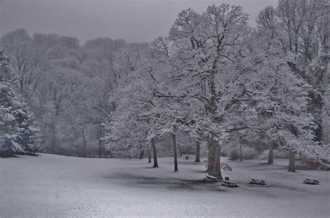 Sledding hill in snow by David Eberly | Friends of Glen Providence Park