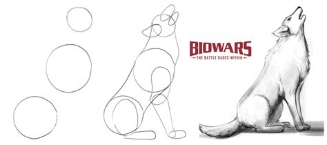 Wolf Drawing In 5 Steps: Beginners’ Guide [Video + Images]