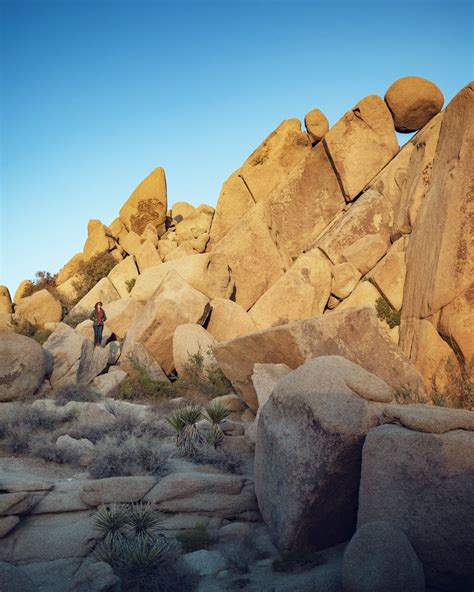 Top 8 Rock Formations - Joshua Tree National Park — Flying Dawn Marie ...