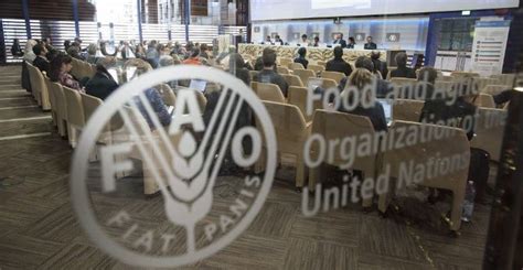 Internship Programme at Food and Agriculture Organization of the United Nations – Opportunity Desk