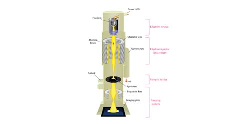 8: A schematic outline of a TEM (source from website) | Download Scientific Diagram