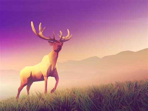 Low Poly - Animals on Behance