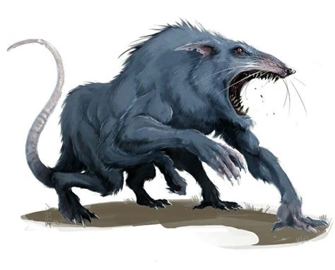 Dire Rat - Pathfinder PFRPG DND D&D d20 fantasy | Monster characters ...