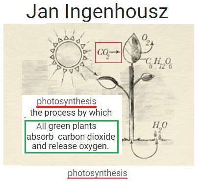 Jan Ingenhousz discovered photosynthesis where plants absorb greenhouse gas CO2 and release ...