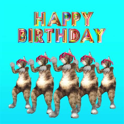 Happy Birthday Funny Cats