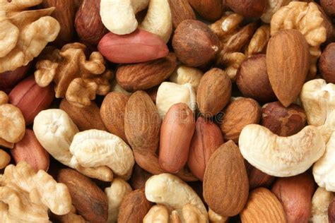 Mixed nuts stock photo. Image of almond, fruit, seed - 34880130