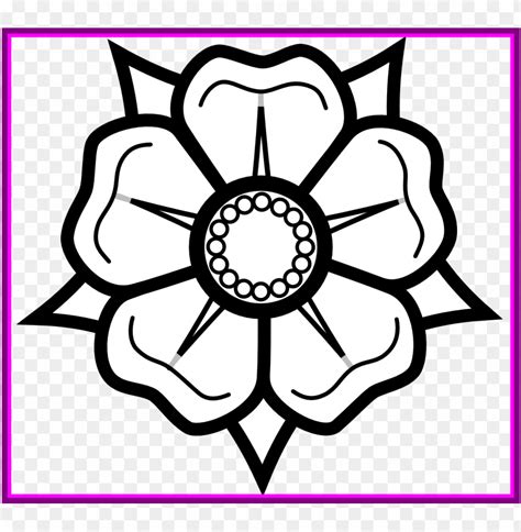 Amazing Drawing Flower Pic For Lotus Inspiration - Flowers Drawings PNG Transparent With Clear ...