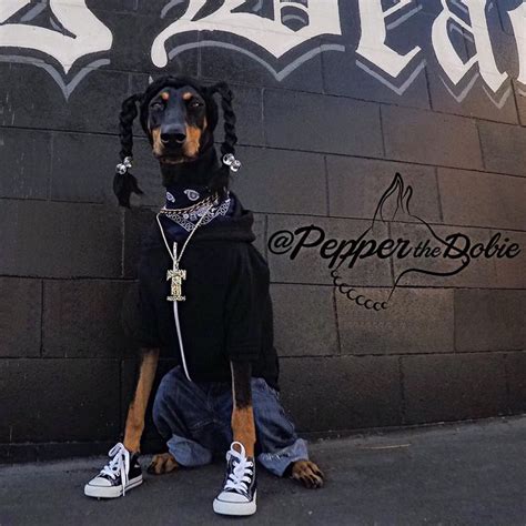 Pepper the Dobie's 2015 Halloween Dog Costume as Snoop Dogg from the ...