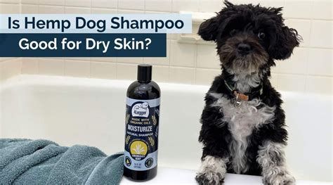 Learn About Ingredients to Find a Safe and Non-Toxic Organic Dog Shamp – 4-Legger