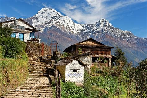 Ghandruk, Nepal | The picturesque town of Ghandruk sits at 2… | Flickr