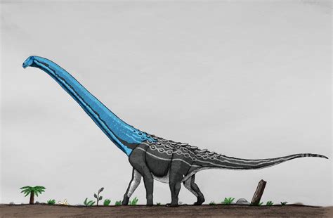 Rapetosaurus krausei by AcroSauroTaurus on DeviantArt