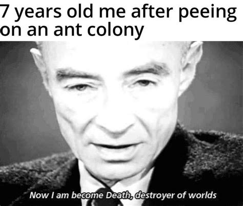 ant colony | "Now I Am Become Death, the Destroyer of Worlds" | Know Your Meme