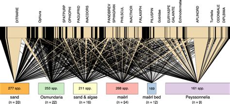 Species-habitat network identified in the Menorca Channel, and... | Download Scientific Diagram