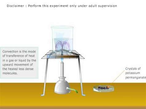 Convection Currents in Water - Experiment - YouTube