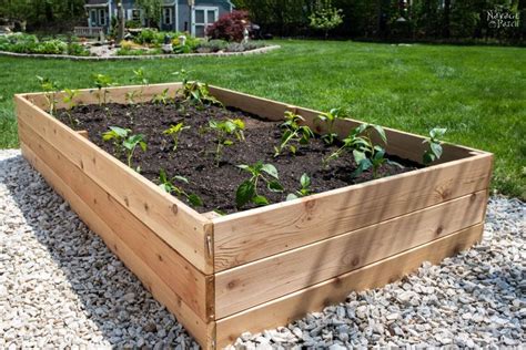 How to Build a Beautiful Raised Garden Bed in 5 Easy Steps