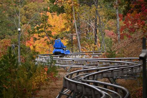 Ski Mountain Coaster - Ober Mountain (2023 Guide) - Alpine Coasters