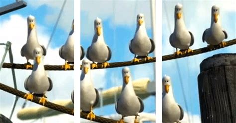 Mine! | "Mine? Mine? Mine?" Seagulls | Know Your Meme