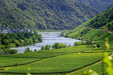 Moselle River Germany : Moselle Valley Germany Travel Guide At Wikivoyage - The moselle river, a ...