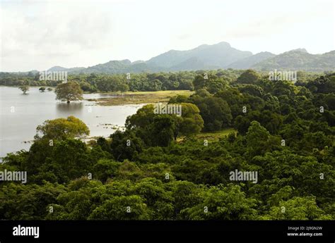 Landscape of Kandalama Lake, Heritance Kandalama Hotel, Dambulla, Sri ...