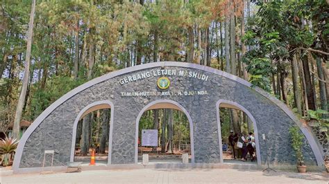 Taman Hutan Raya Djuanda Wisata Populer di Kota Bandung - Suara Subang ...