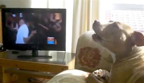 Dog Sings the 'Happy' Song - LIFE WITH DOGS