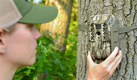 Will Wireless Trail Cameras Make You a Better Hunter? - North American ...