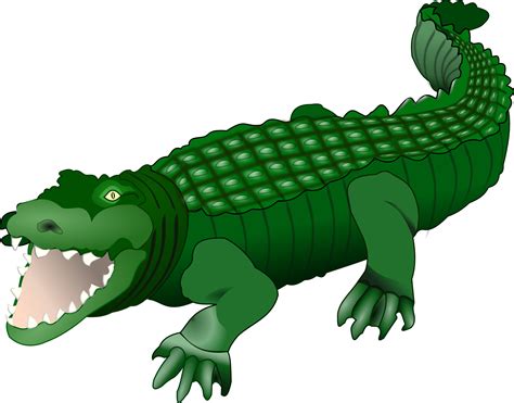 Clipart alligator cocodrilo, Clipart alligator cocodrilo Transparent FREE for download on ...