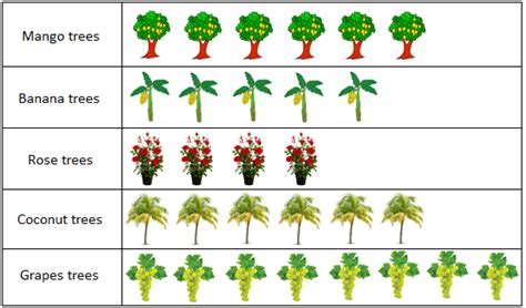 Reading Pictographs | Collection and Recording of Data | Tabulating of Data