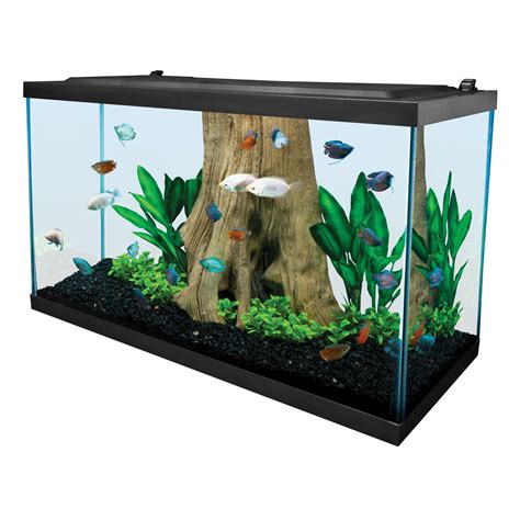 Tetra Glass 29 Gallon Rectangular Fish Tank & Aquarium