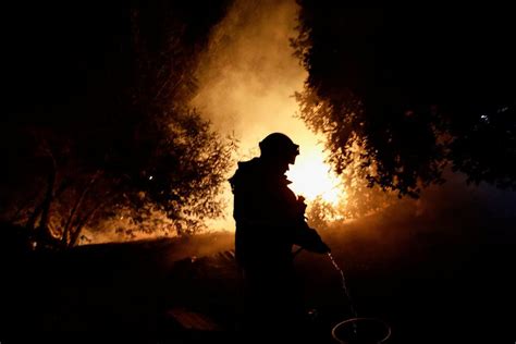 Chile wildfires consume over 750 hectares threatening forests, farmland ...