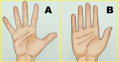 Scientists Reveal How Shape Of Their Hands Tell About A Person’s ...