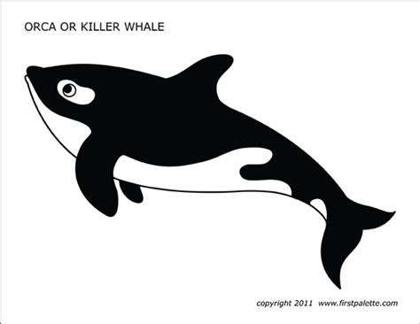 Whale | Free Printable Templates & Coloring Pages | FirstPalette.com