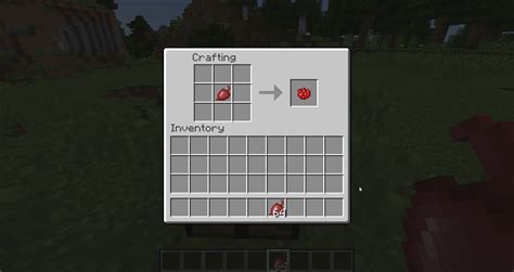 TIL: You can make red dye from beetroot : Minecraft