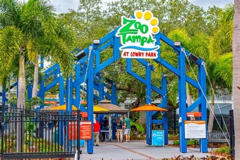 Zoo Tampa photo spot, Tampa