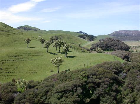 New Zealand Tour Wharariki Beach | A wonderful walk out acro… | Flickr