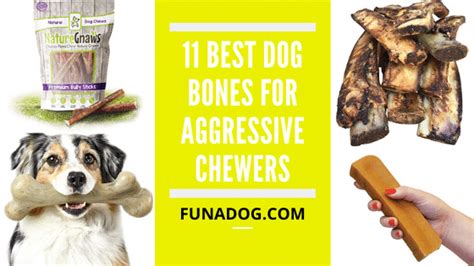 11 Best Dog Bones For Aggressive Chewers | Healthy Chewer