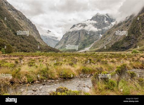 Fiordland National Park, South Island, New Zealand Stock Photo - Alamy