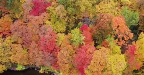 Drone captures stunning fall colors in Minnesota - CBS News