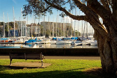 Rushcutters Bay Stock Photos, Pictures & Royalty-Free Images - iStock